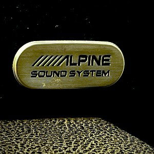 BUMPINGINMYALPINE