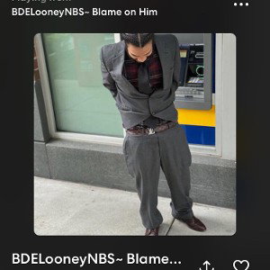 BDELooneyNBSBlameonHim