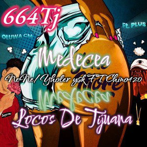  MeDecea