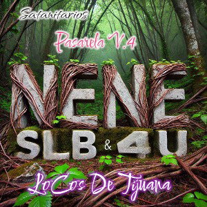 pasarela v.4