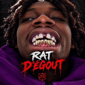 RAT d'égout 