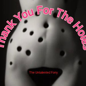 Thank You For The Holes 