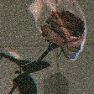 feelings