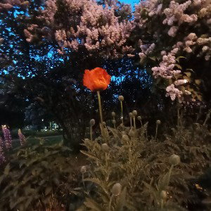 лето на дворе 
