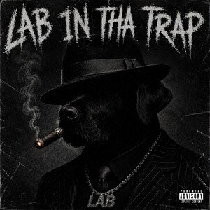 SH0Ts FIR3D Lil Lab 