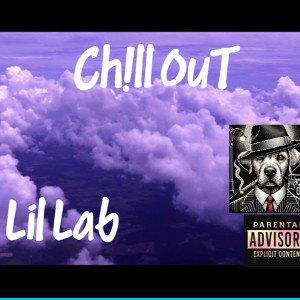 Ch!ll oUt Lil Lab