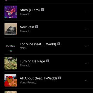 T-Wadd - Turning da page