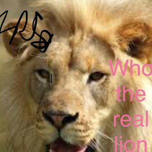 Who the real lion 