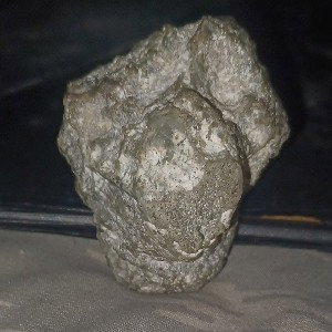 dent rex diamant 2.0