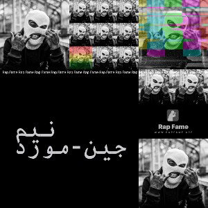 نیم جین-مورد