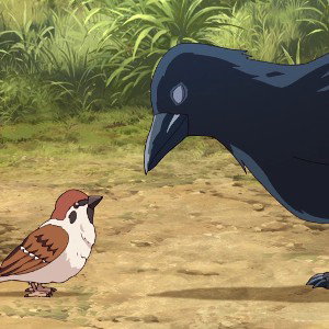 BirdTalk
