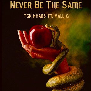 TGKftMallG-NeverBeThesame