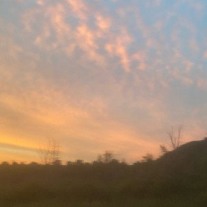 southbound