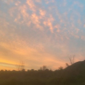 pink skies