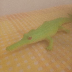 Rubber crocco squeack