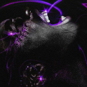 problem life (part of my new album troubled life)