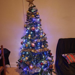 le sapin de noël pour que les fille adore 