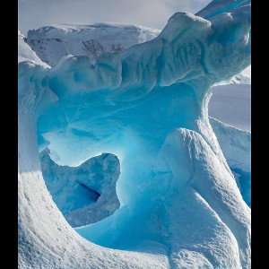 artic 
