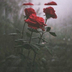 Yairnel (Jocelyn Flores Freestyle)