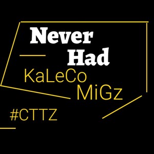 Never Had 