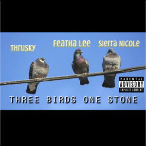 3 Birds 1 Stone 