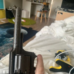 22 magnum  advantage 