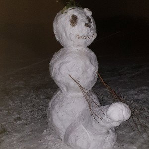 Diabetiss - Wild Wild West (Fertig)