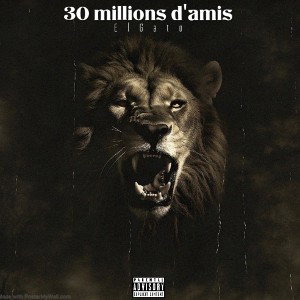 30 millions d'amis