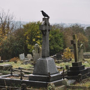 Gone but not Forgotten 