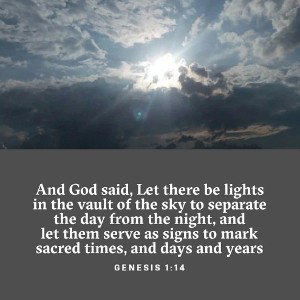 Lights In The Sky