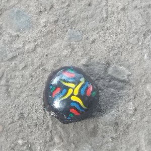 mi gaita