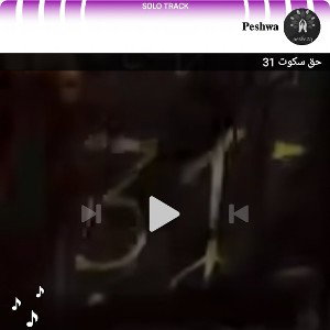  دیس ترک تخم کفتر