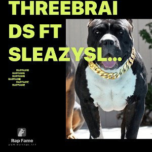 Threebraids ft SleazySlim x Run Up The $$$