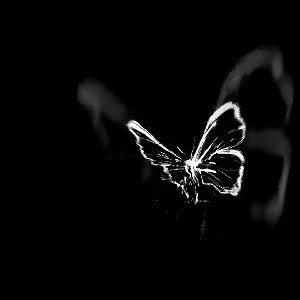Blyadik69 - rays[beat]
