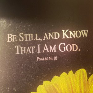 please god please