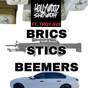 Brics Stics & Beemers