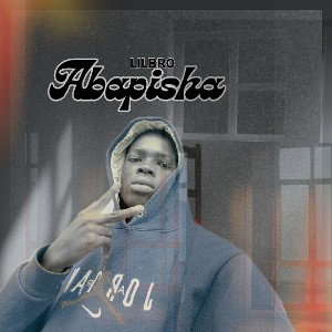 Lilbro Abapisha _-_Sad_visualise