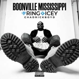 Boonville Mississippi 