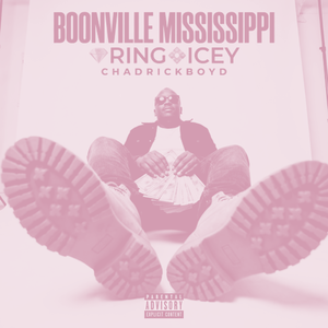 Boonville Mississippi  (Bass Boost)