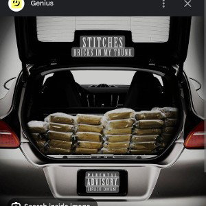 Bricks in the trunk 