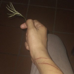 coinciencia