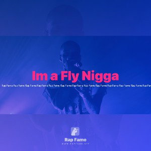 Im a Fly Nigga