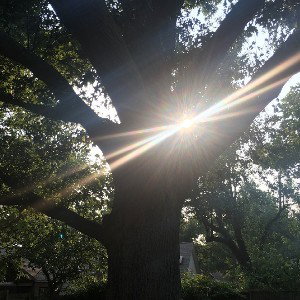 Lighten Your Life