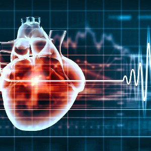 heart is beating slow 
