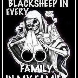 black sheep 