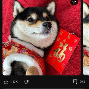 Life is hard,