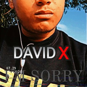 I'M SORRY - David X 