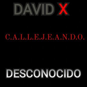 David X - Callejeando