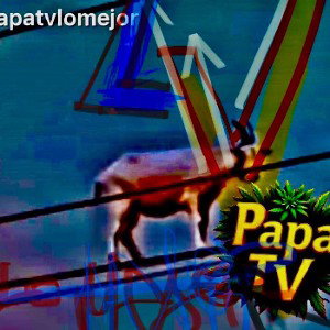 sin pone papita🦾🎙️🚀