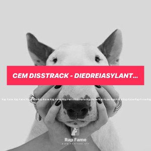cem disstrack - diedreiasylanten